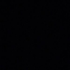 Meet your Posher, Lexi